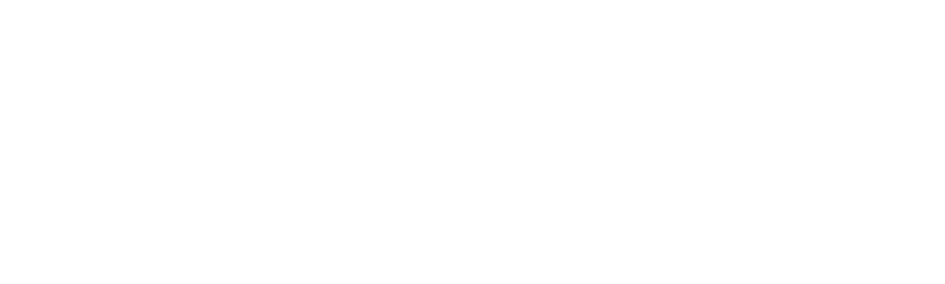 Logo Elecciones sobre blanco